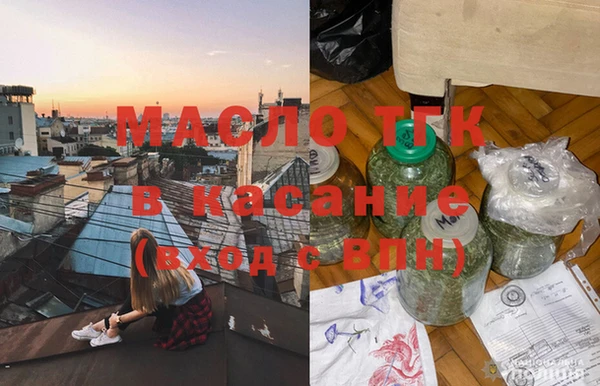 гидра Снежногорск