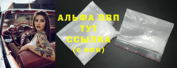 дмт Почеп