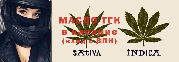 гидра Снежногорск