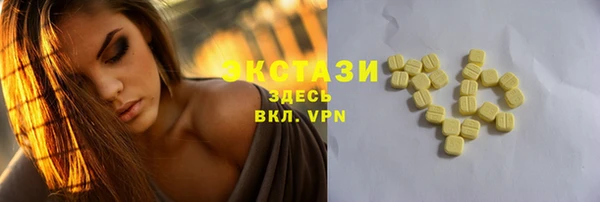 гидра Снежногорск