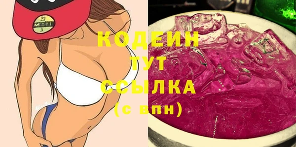гидра Снежногорск