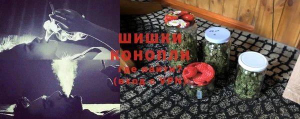 гидра Снежногорск