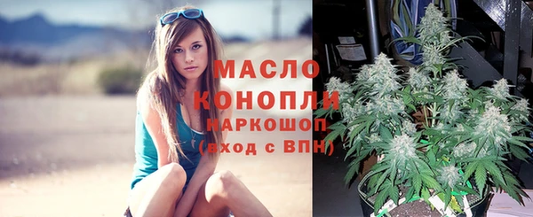 гидра Снежногорск