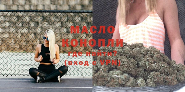 гидра Снежногорск