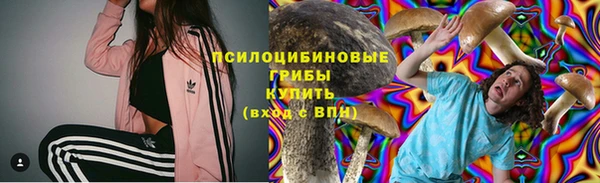 дмт Похвистнево