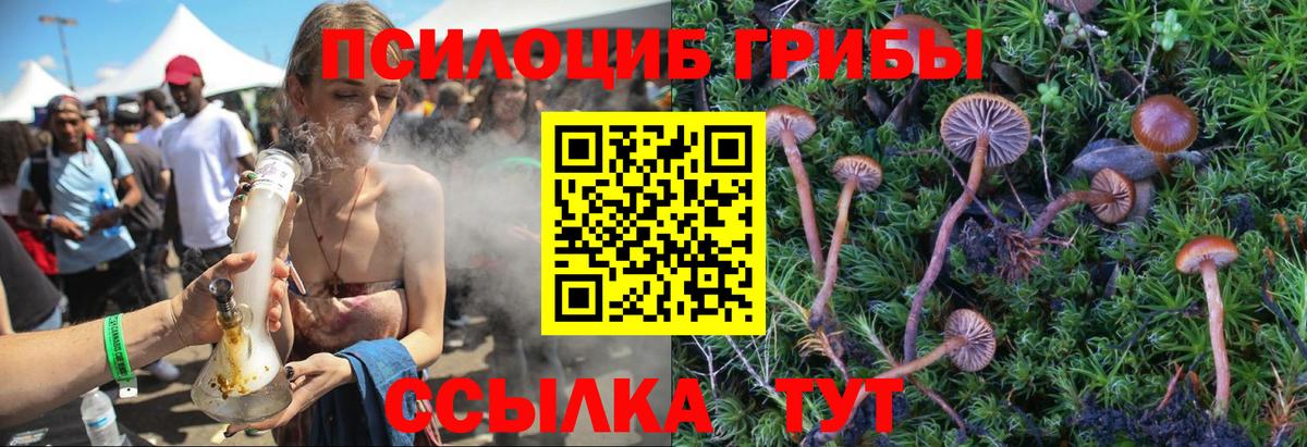 Псилоцибиновые грибы ЛСД Ухта